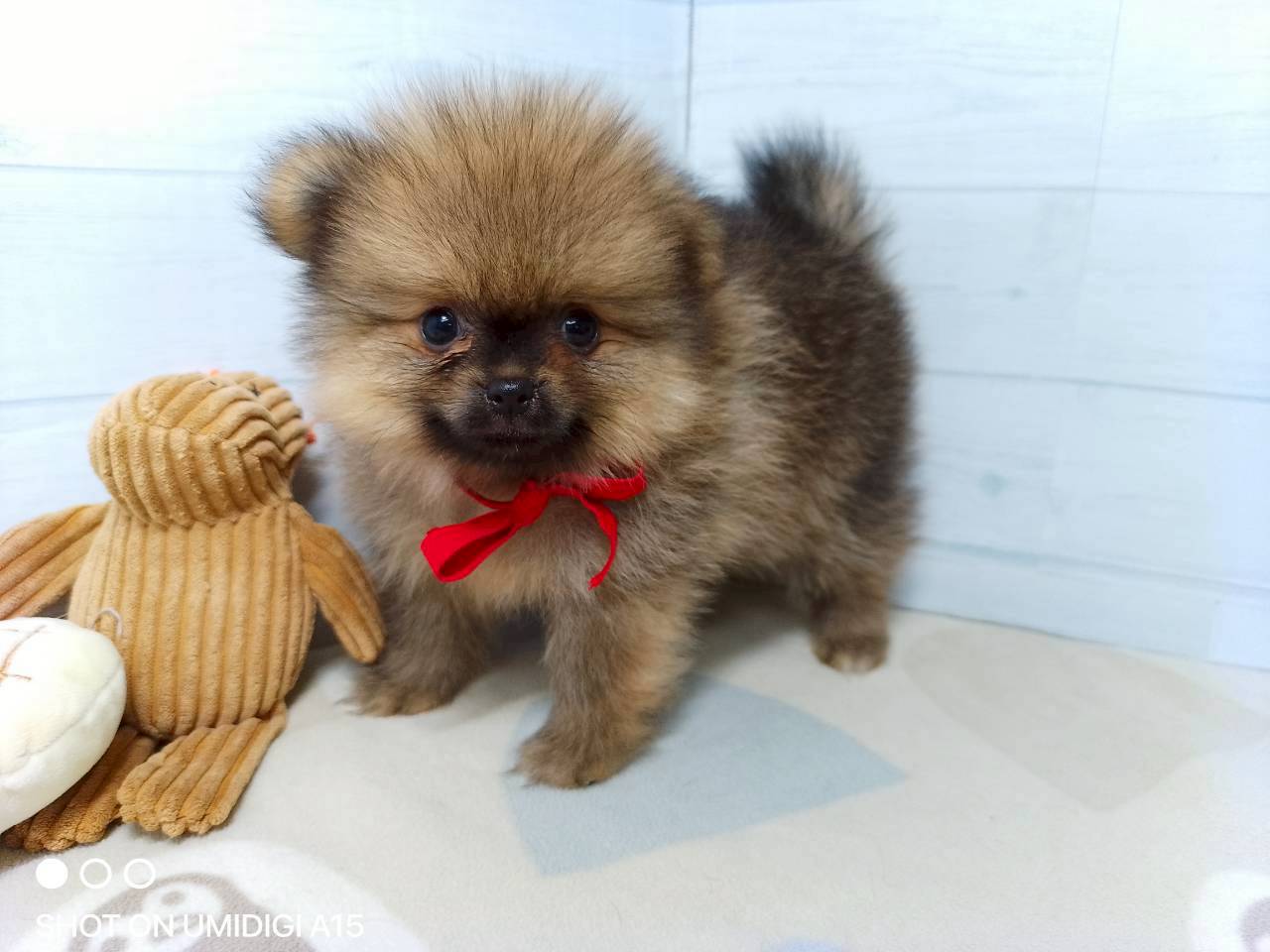 赤ちゃん写真3-1