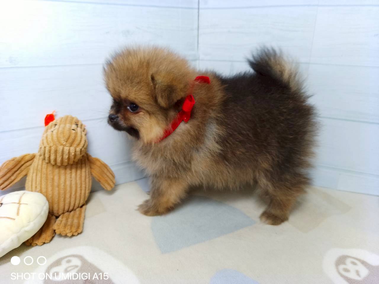 赤ちゃん写真3-2