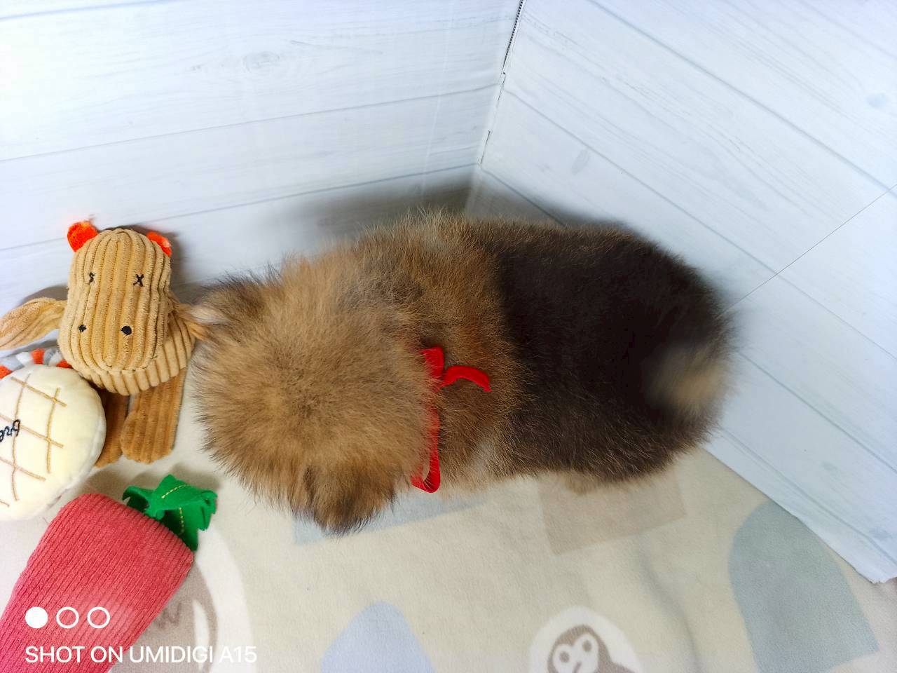 赤ちゃん写真3-3