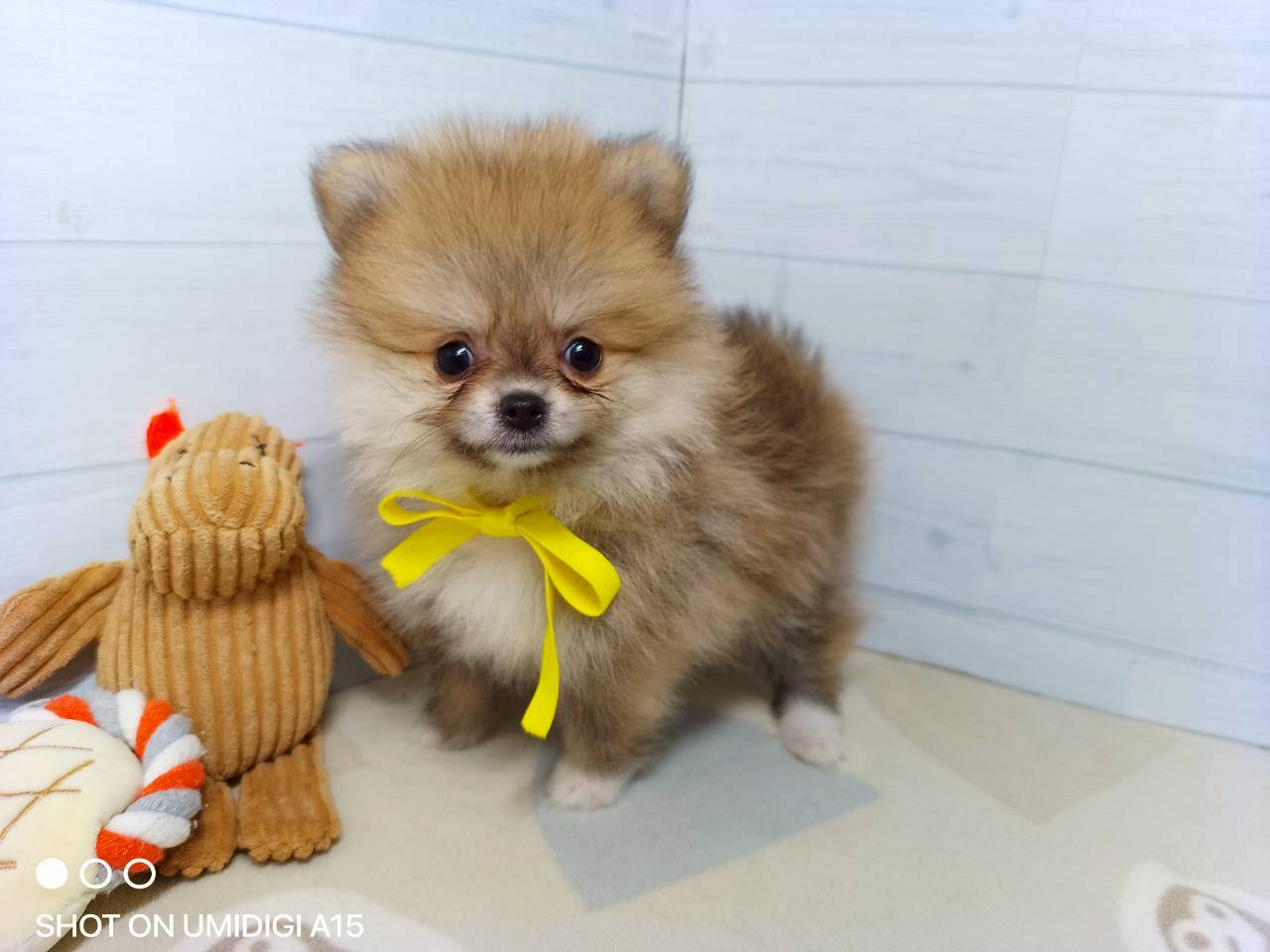 赤ちゃん写真3-1