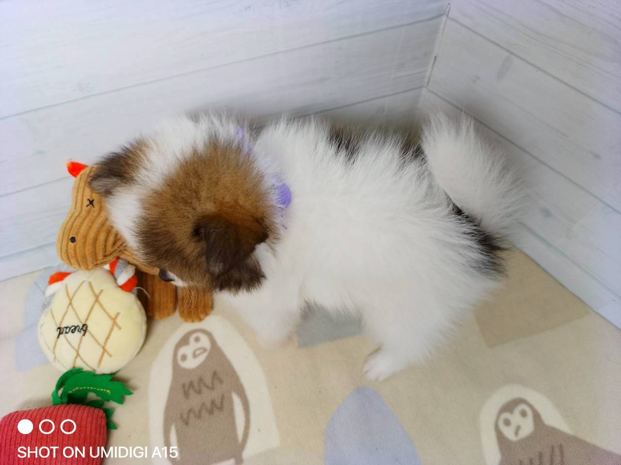 赤ちゃん写真3-3