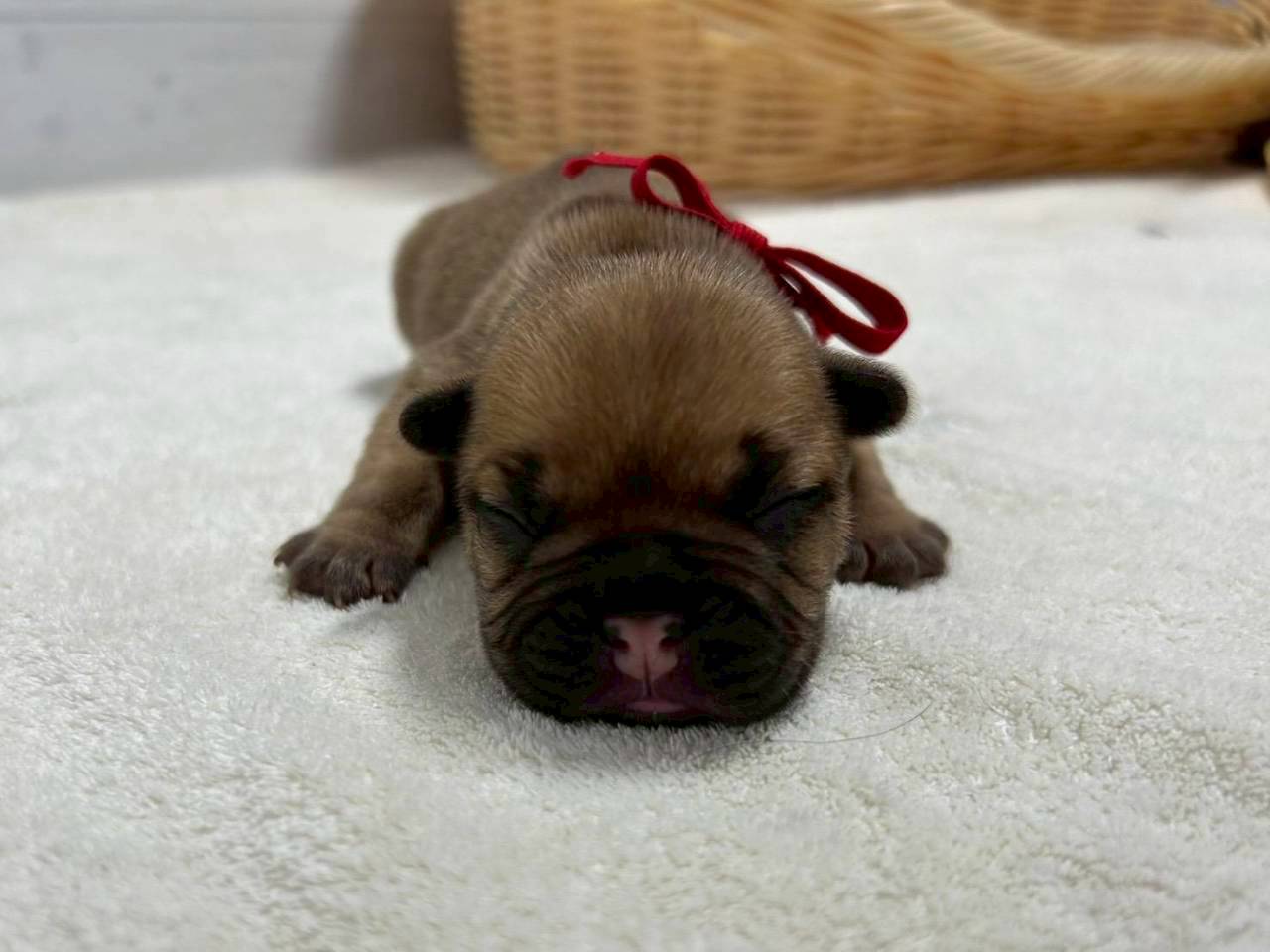 赤ちゃん写真1-1