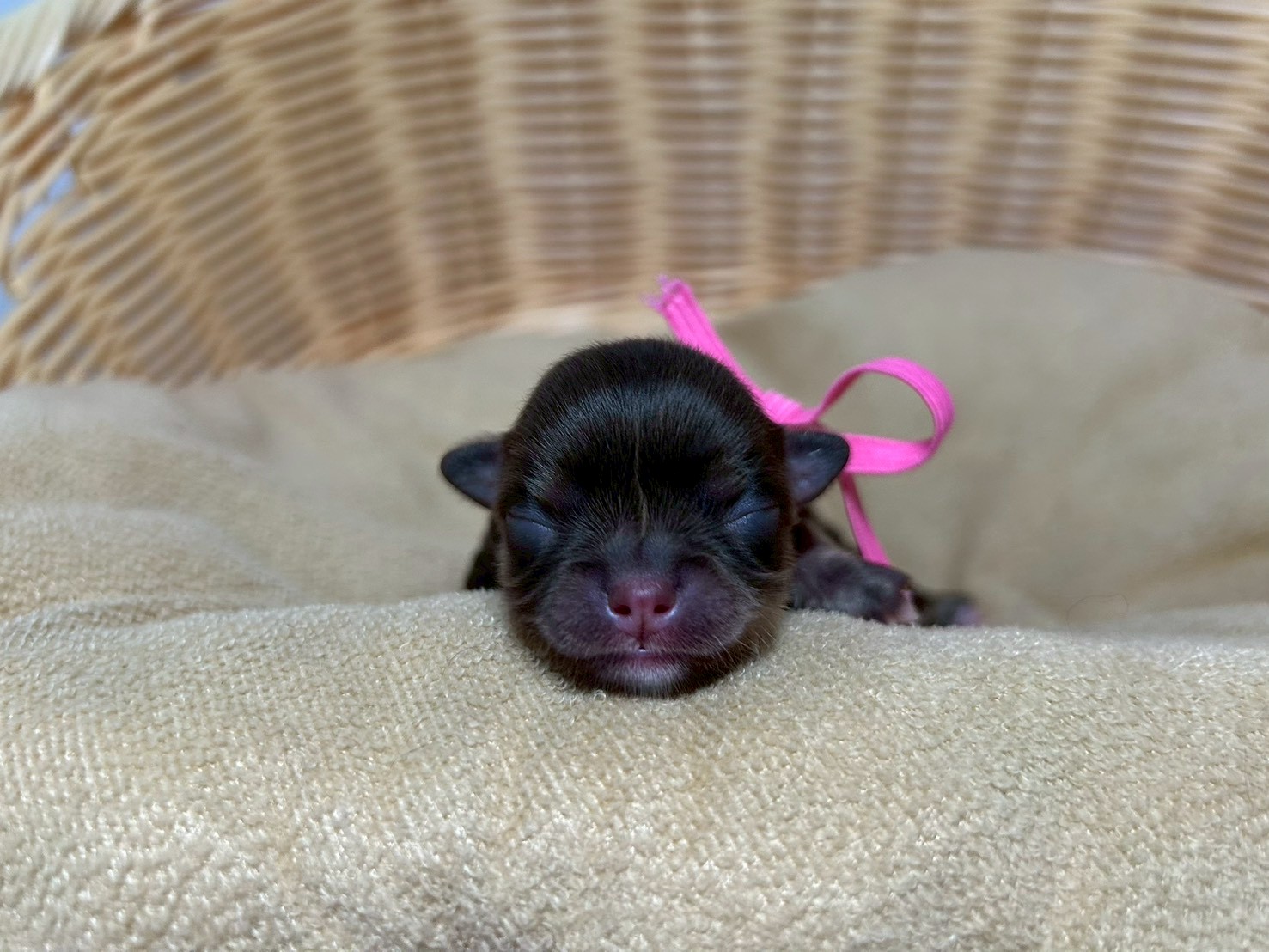 赤ちゃん写真1-1