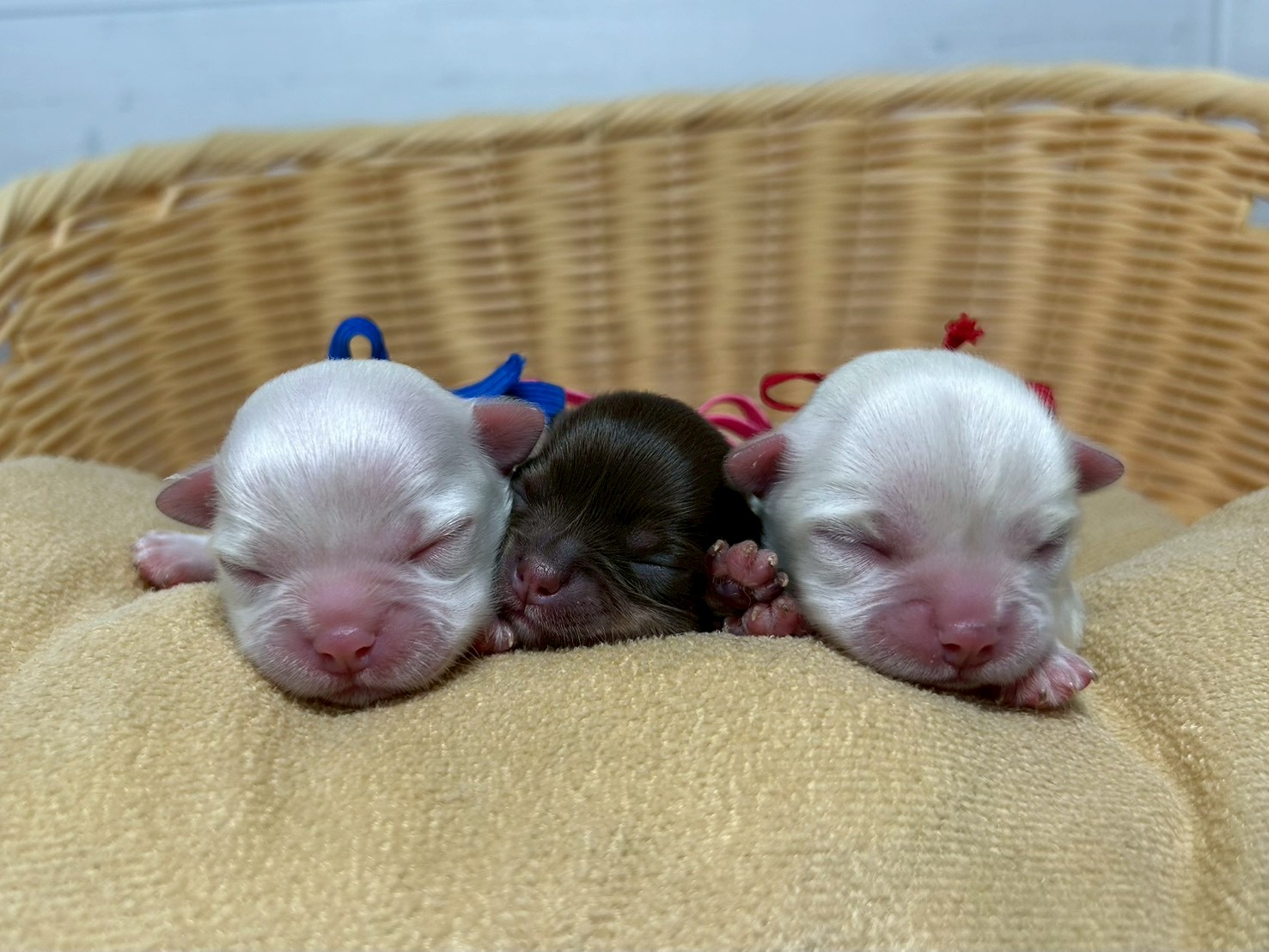 赤ちゃん写真1-3