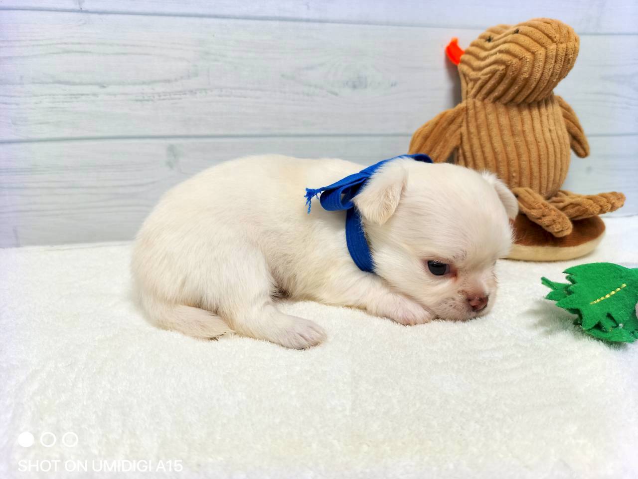 赤ちゃん写真2-2