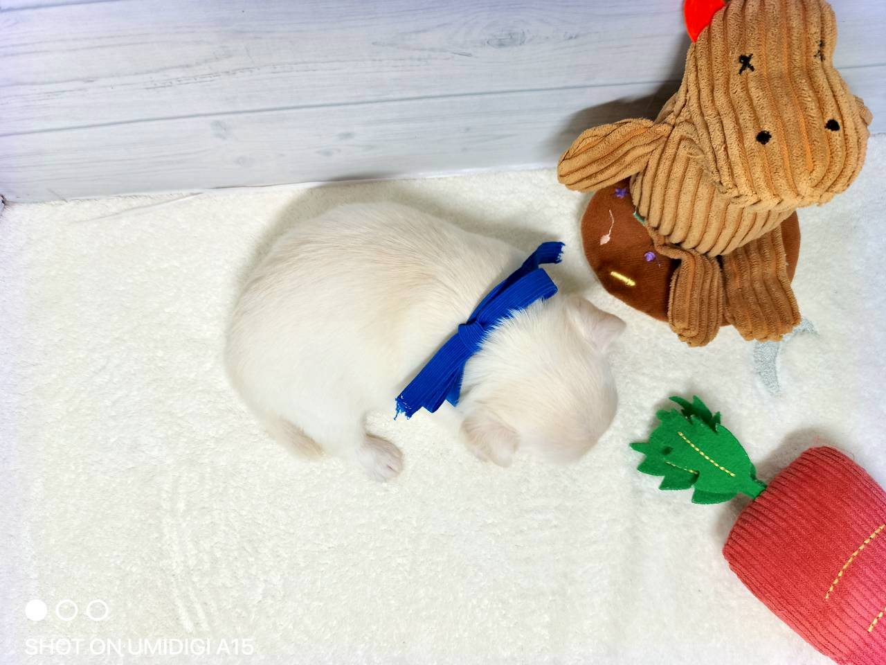 赤ちゃん写真2-3
