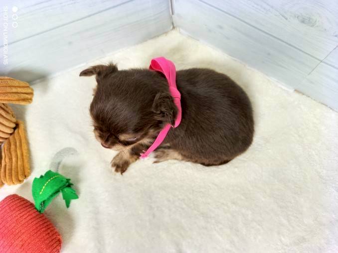 赤ちゃん写真2-3