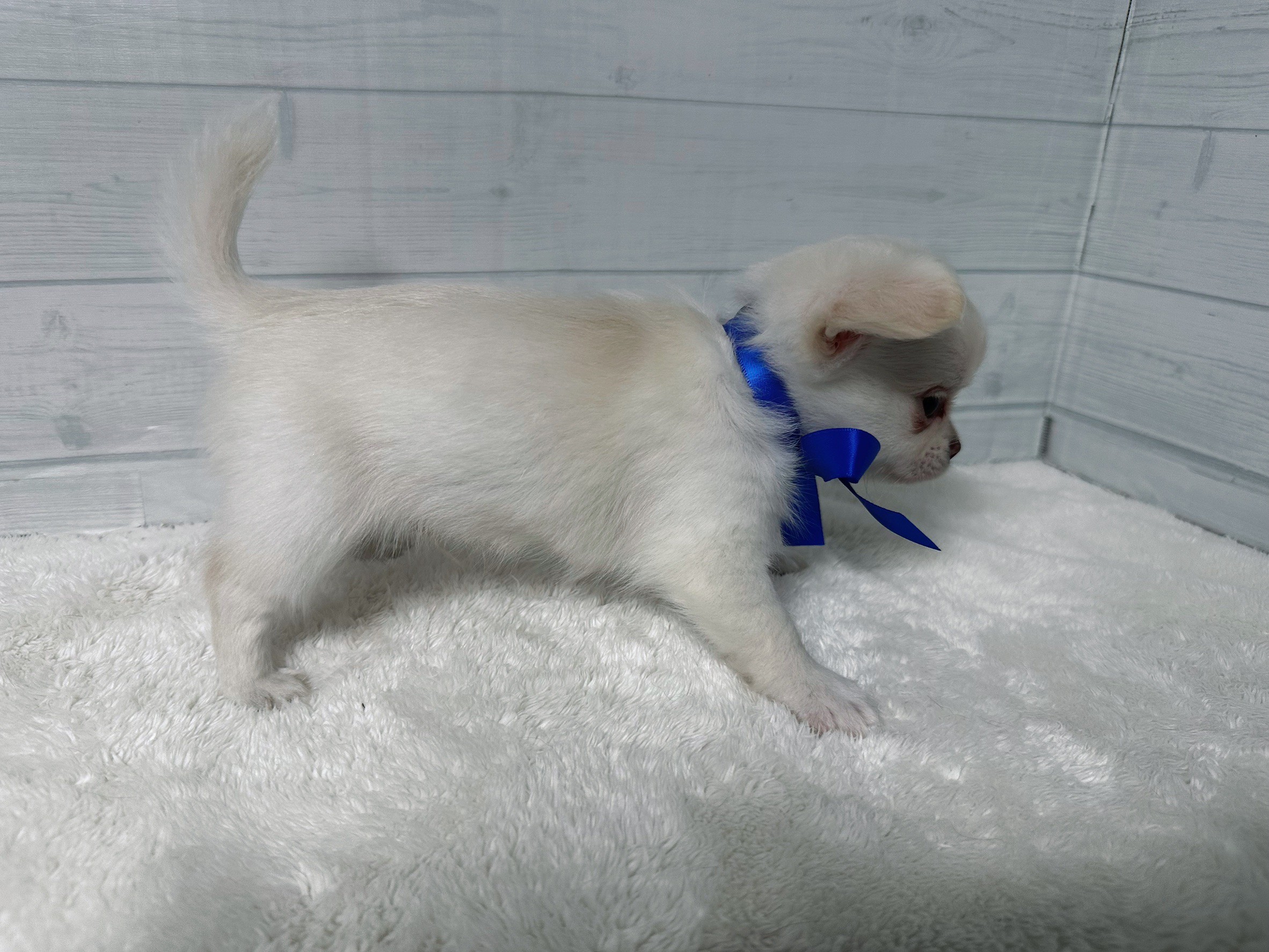 赤ちゃん写真3-2