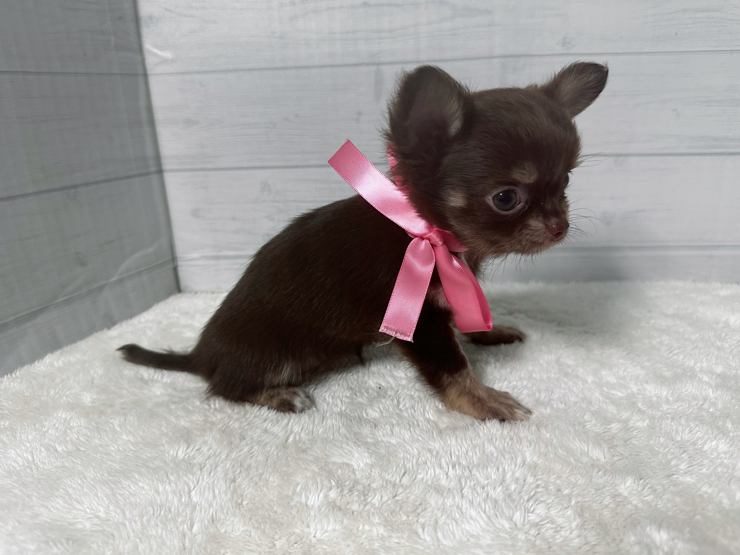 赤ちゃん写真3-2