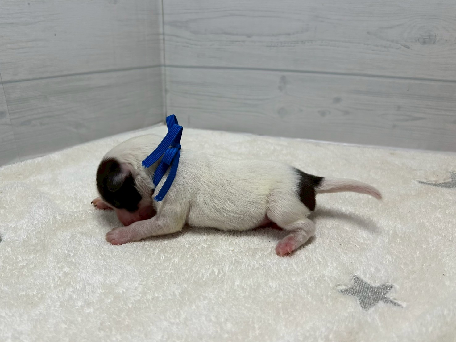 赤ちゃん写真1-2