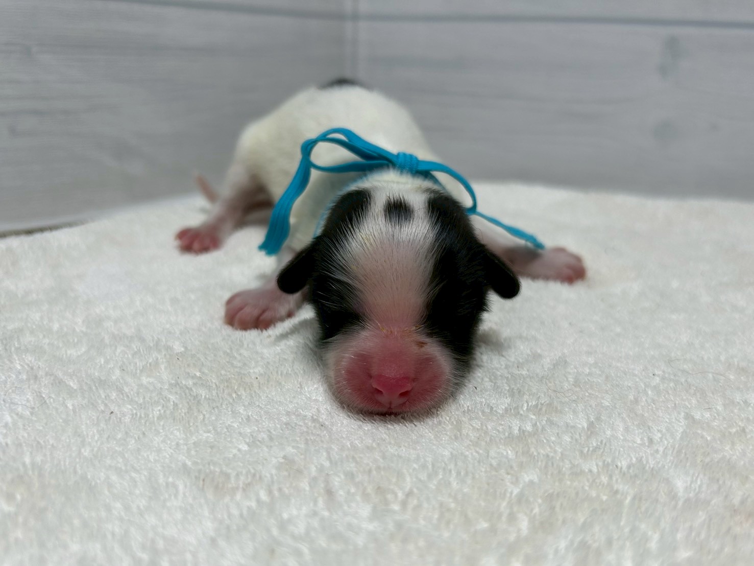 赤ちゃん写真1-1