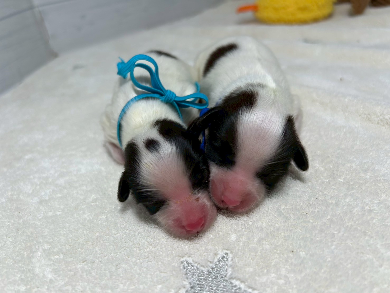 赤ちゃん写真1-3