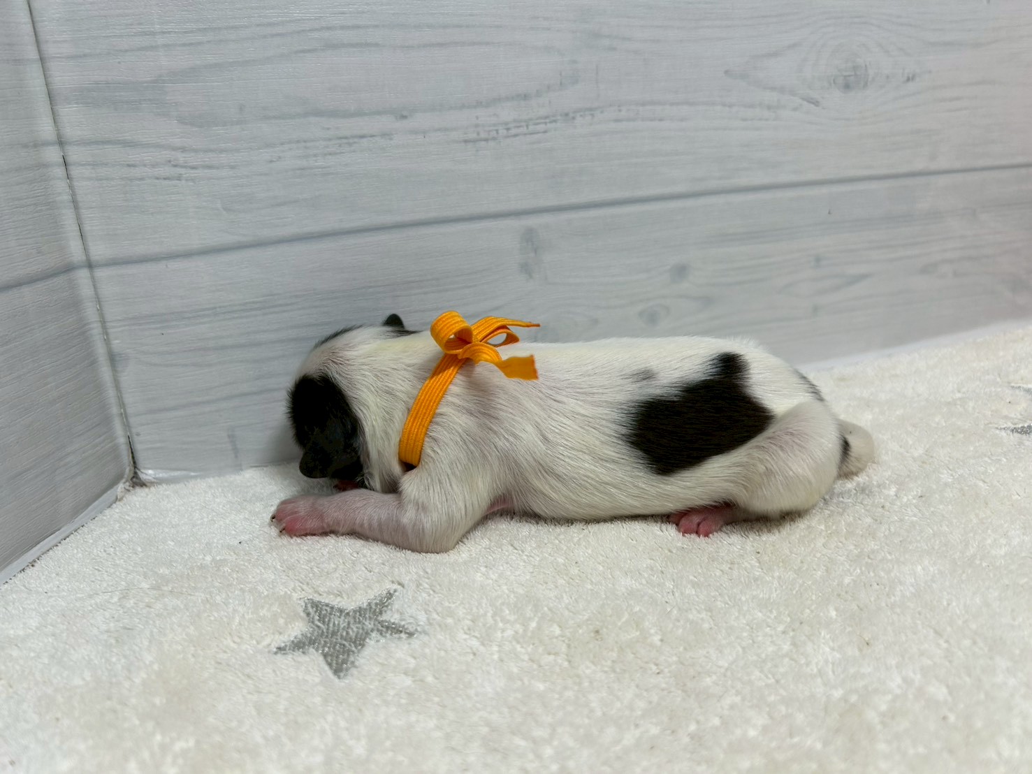 赤ちゃん写真1-2