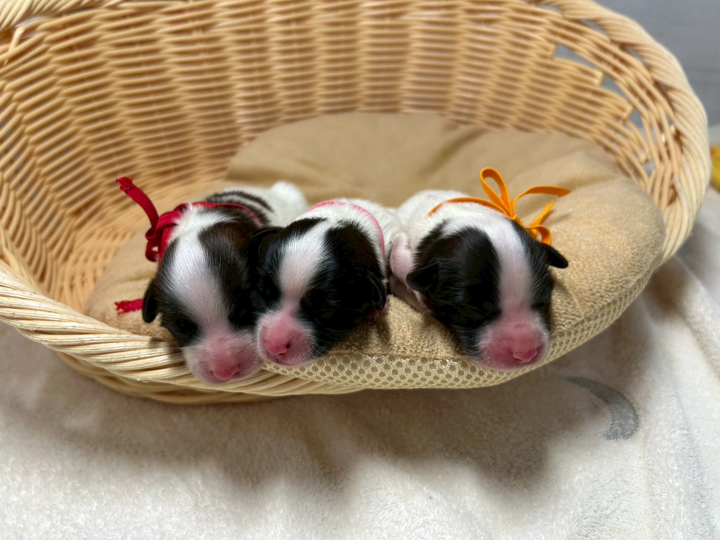 赤ちゃん写真1-3
