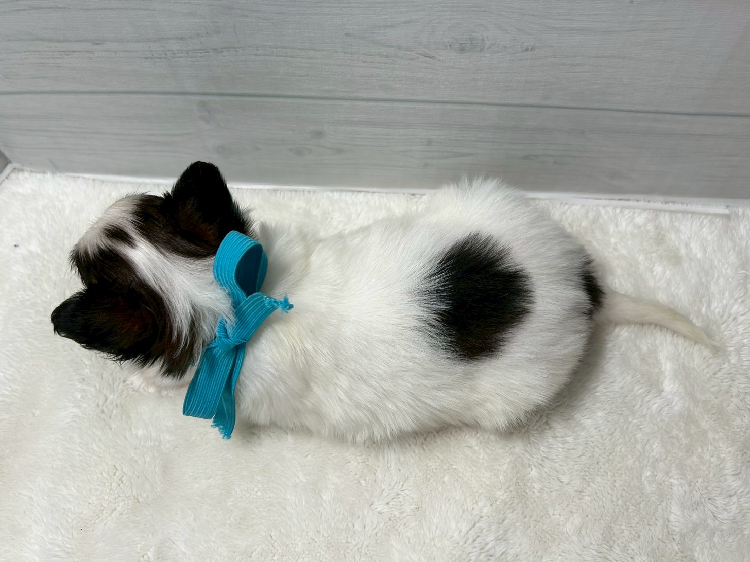赤ちゃん写真2-3