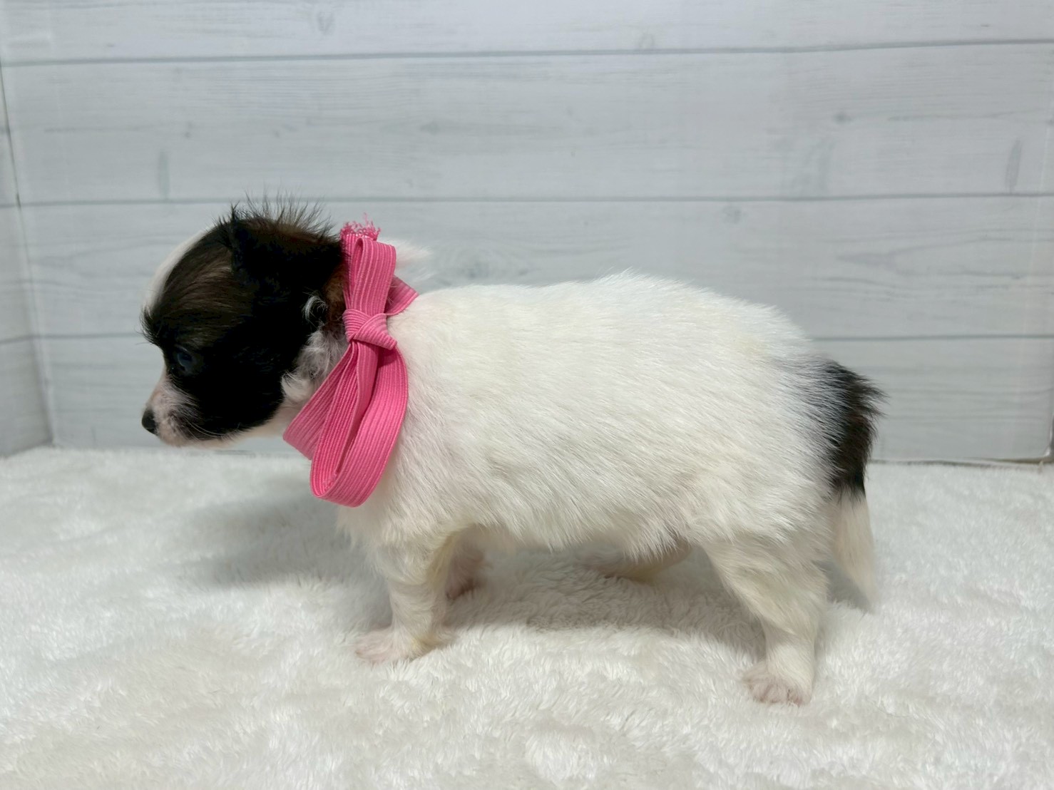赤ちゃん写真2-2