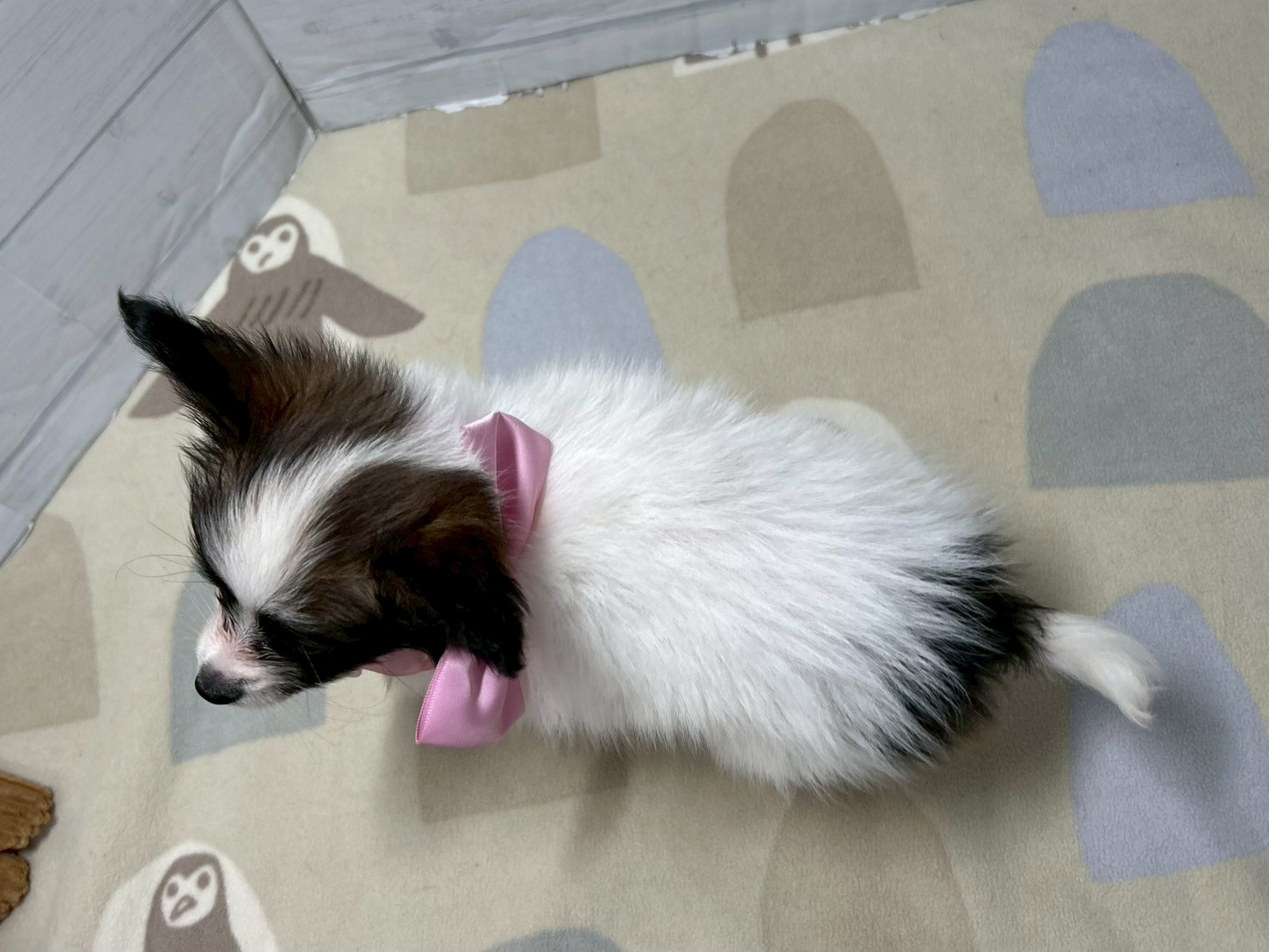 赤ちゃん写真3-3