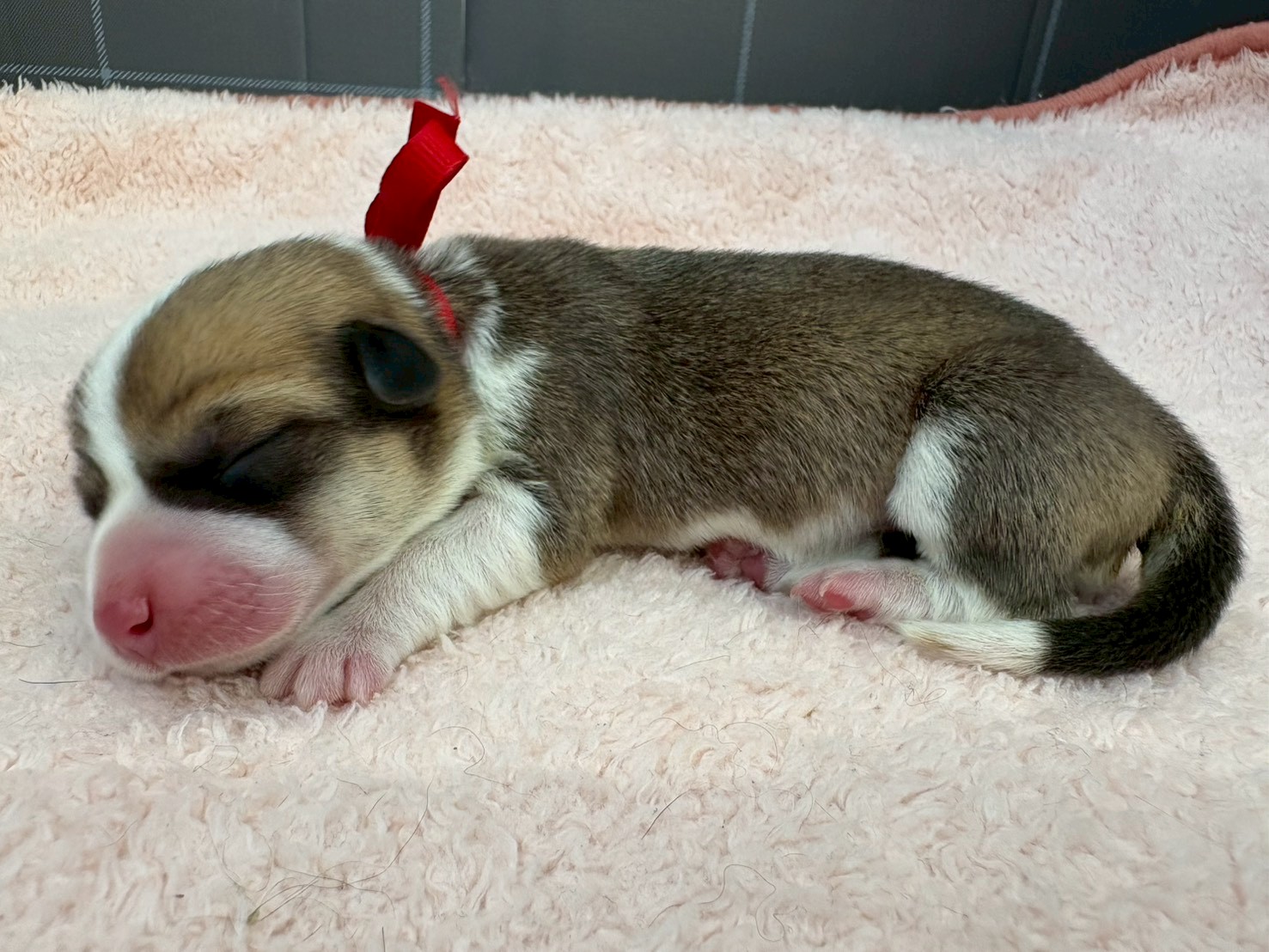赤ちゃん写真1-2