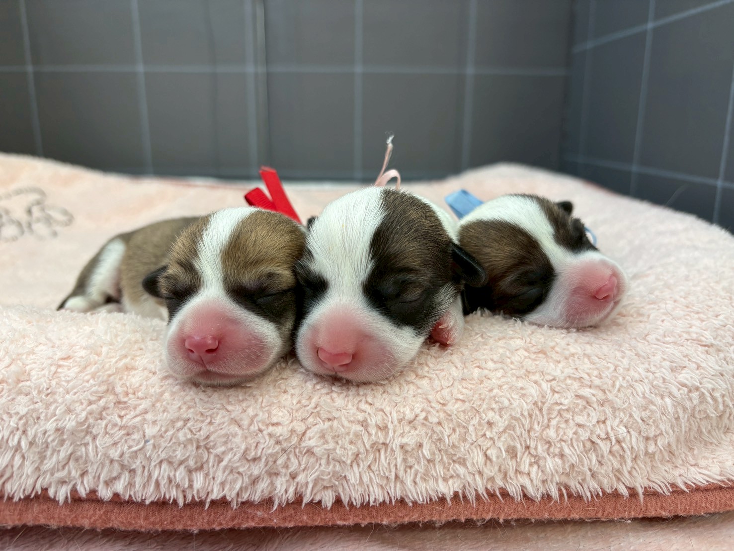 赤ちゃん写真1-3