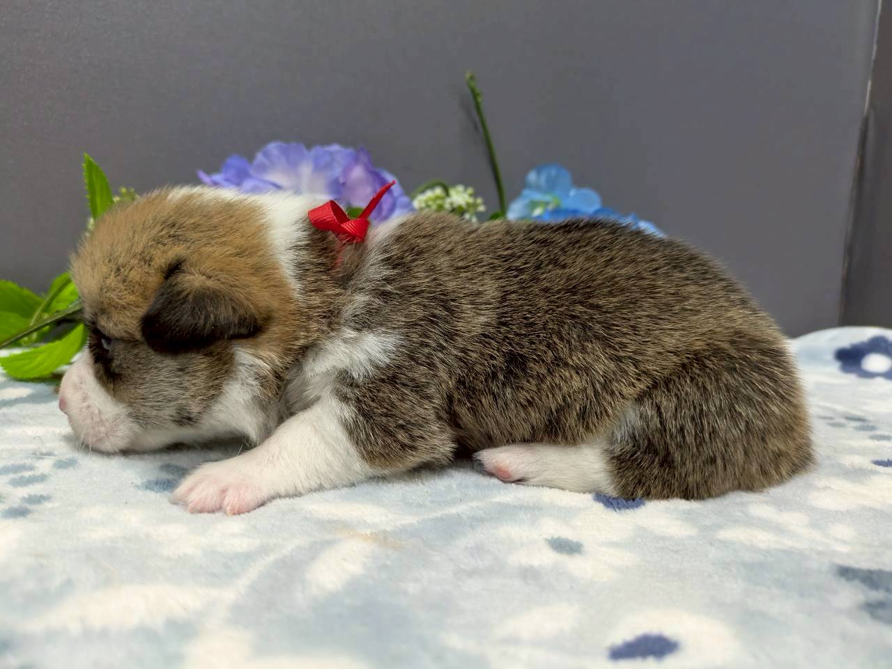 赤ちゃん写真2-2
