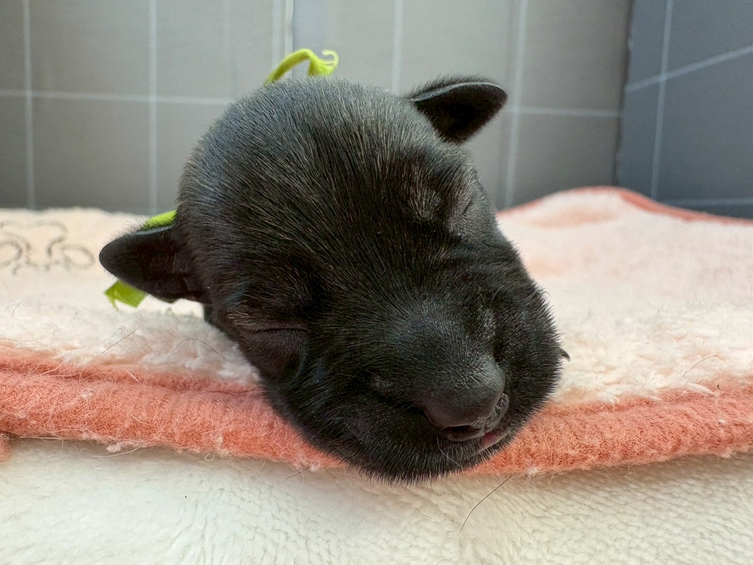 赤ちゃん写真1-1