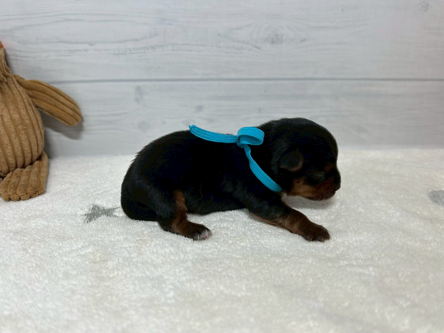 赤ちゃん写真1-2