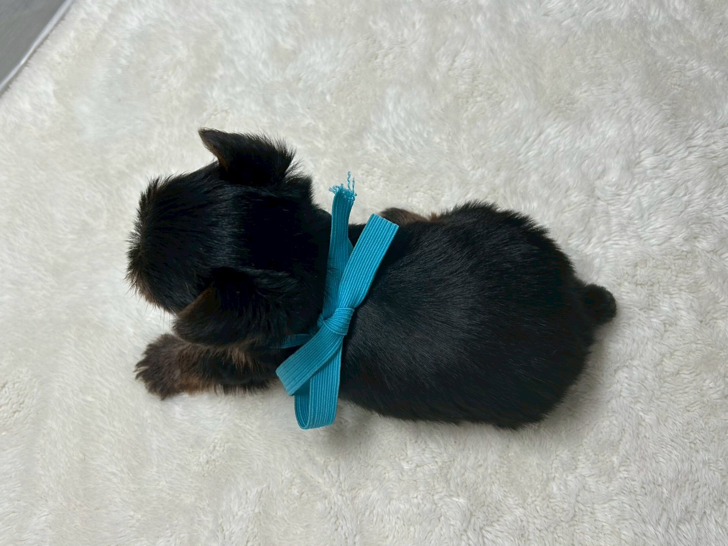 赤ちゃん写真2-3