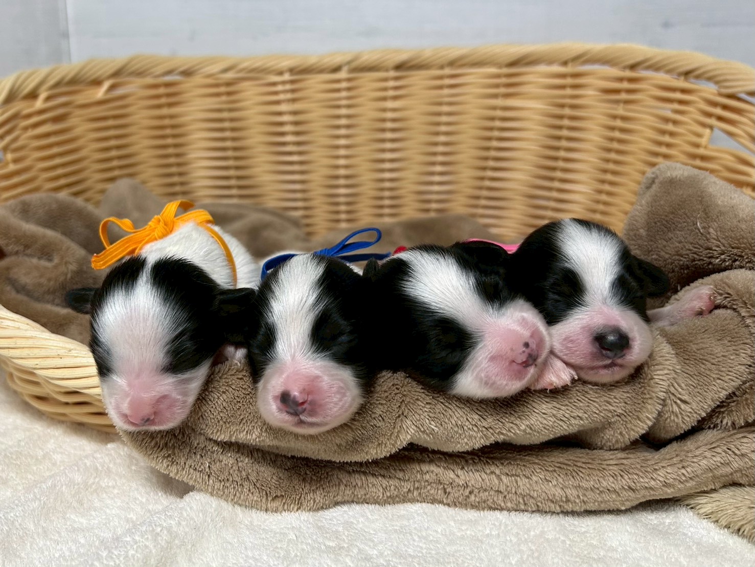 赤ちゃん写真1-3