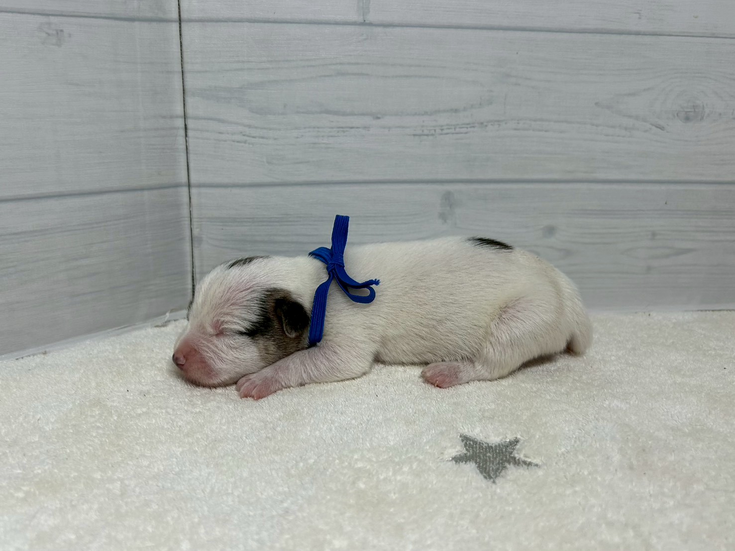赤ちゃん写真1-2