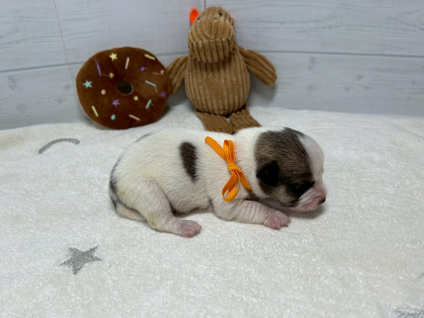 赤ちゃん写真1-2