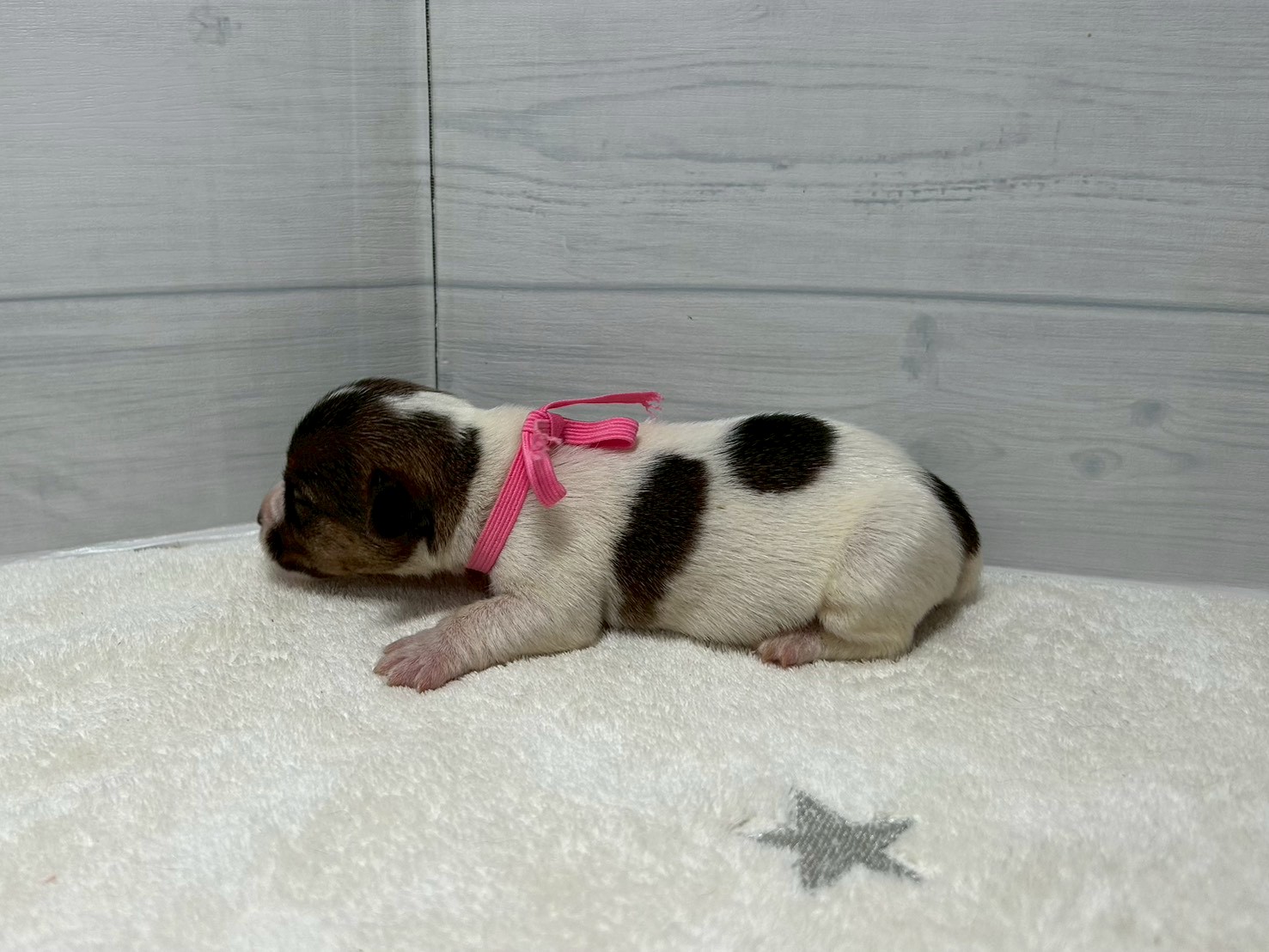 赤ちゃん写真1-2