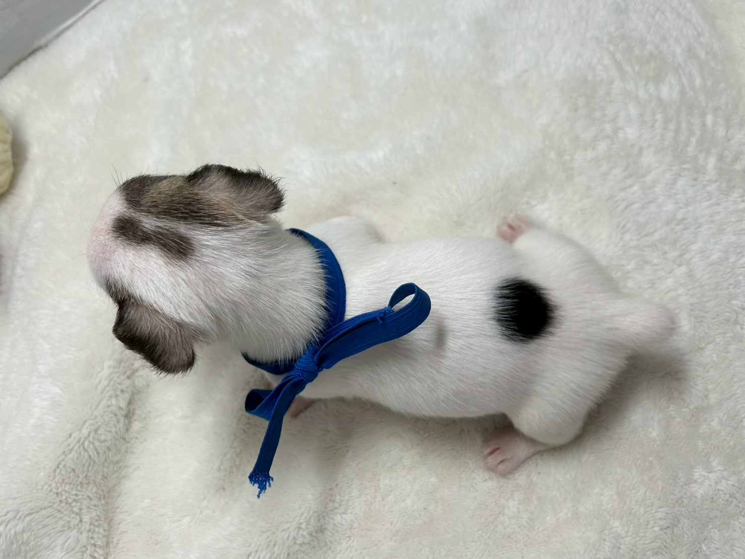 赤ちゃん写真2-3