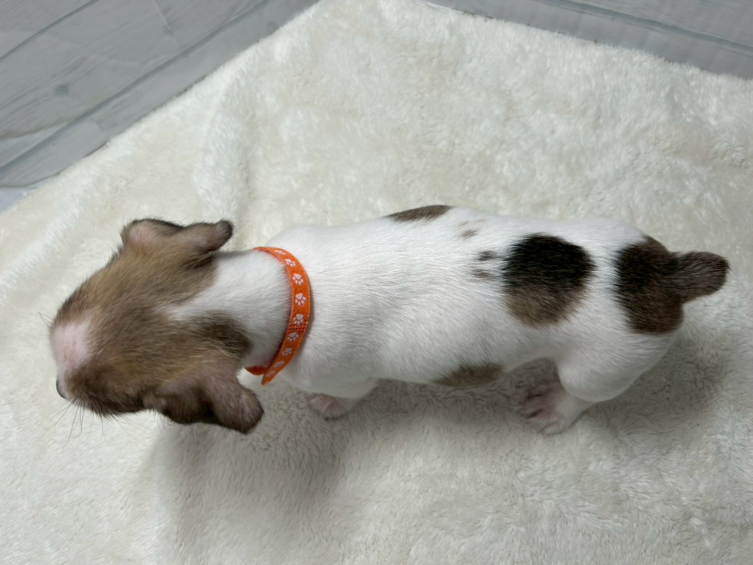 赤ちゃん写真3-3