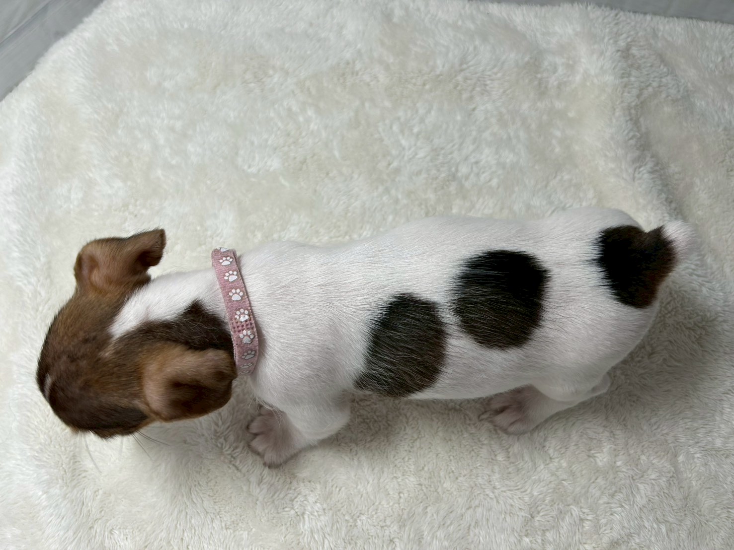 赤ちゃん写真3-3