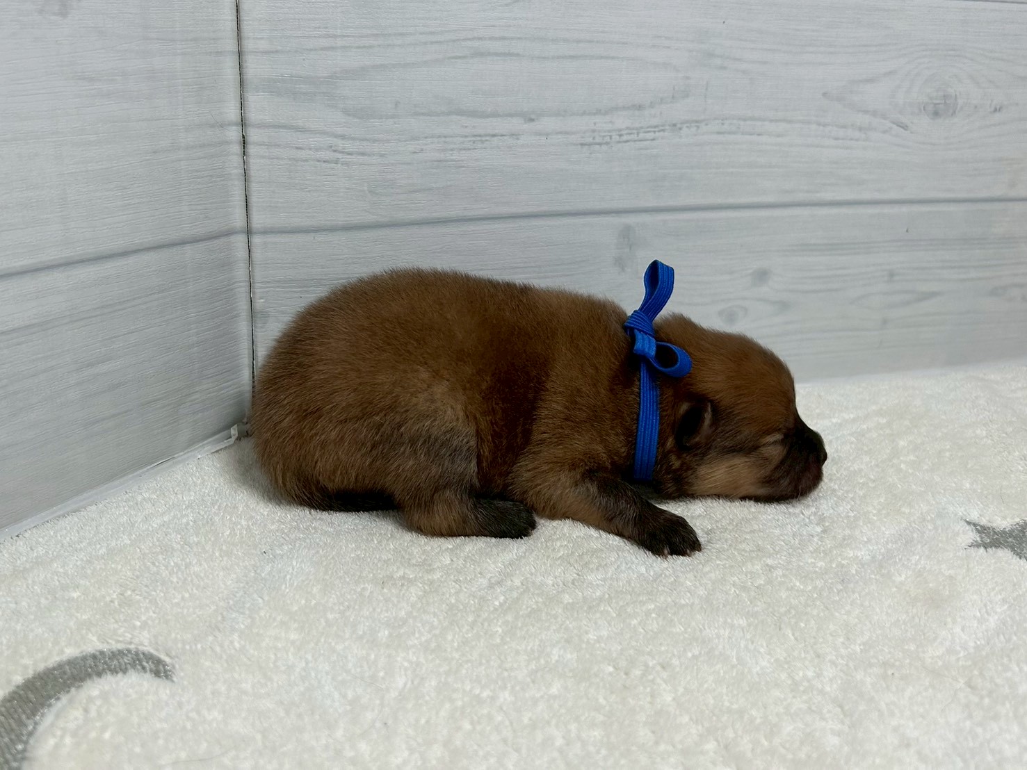 赤ちゃん写真1-2