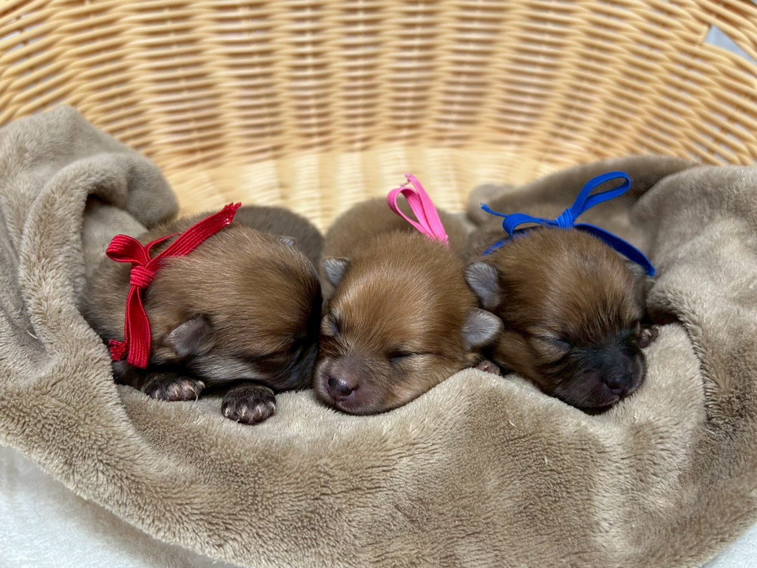 赤ちゃん写真1-3