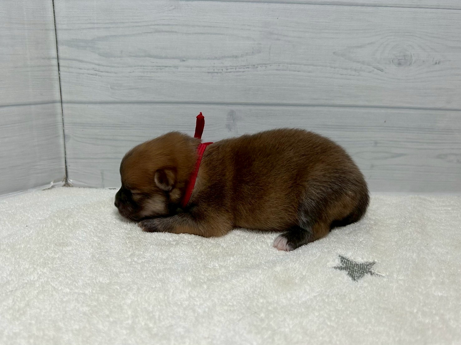 赤ちゃん写真1-2