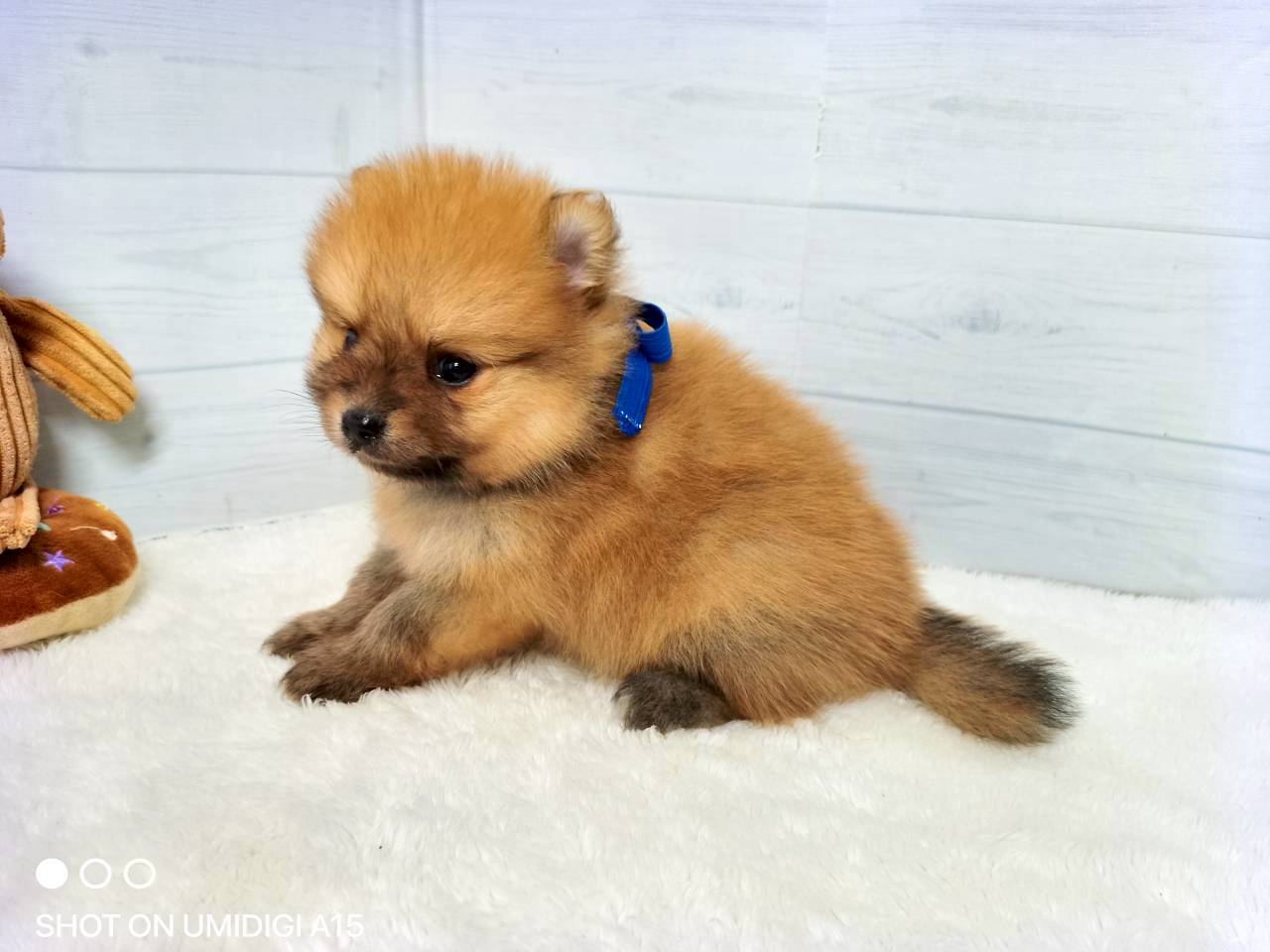赤ちゃん写真2-2