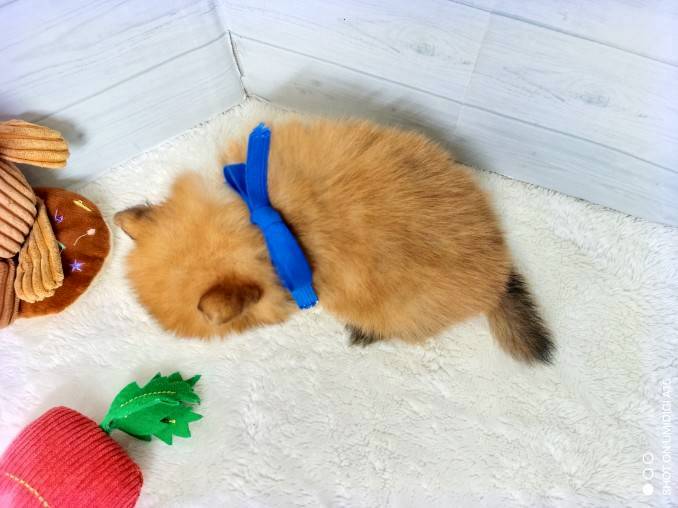 赤ちゃん写真2-3