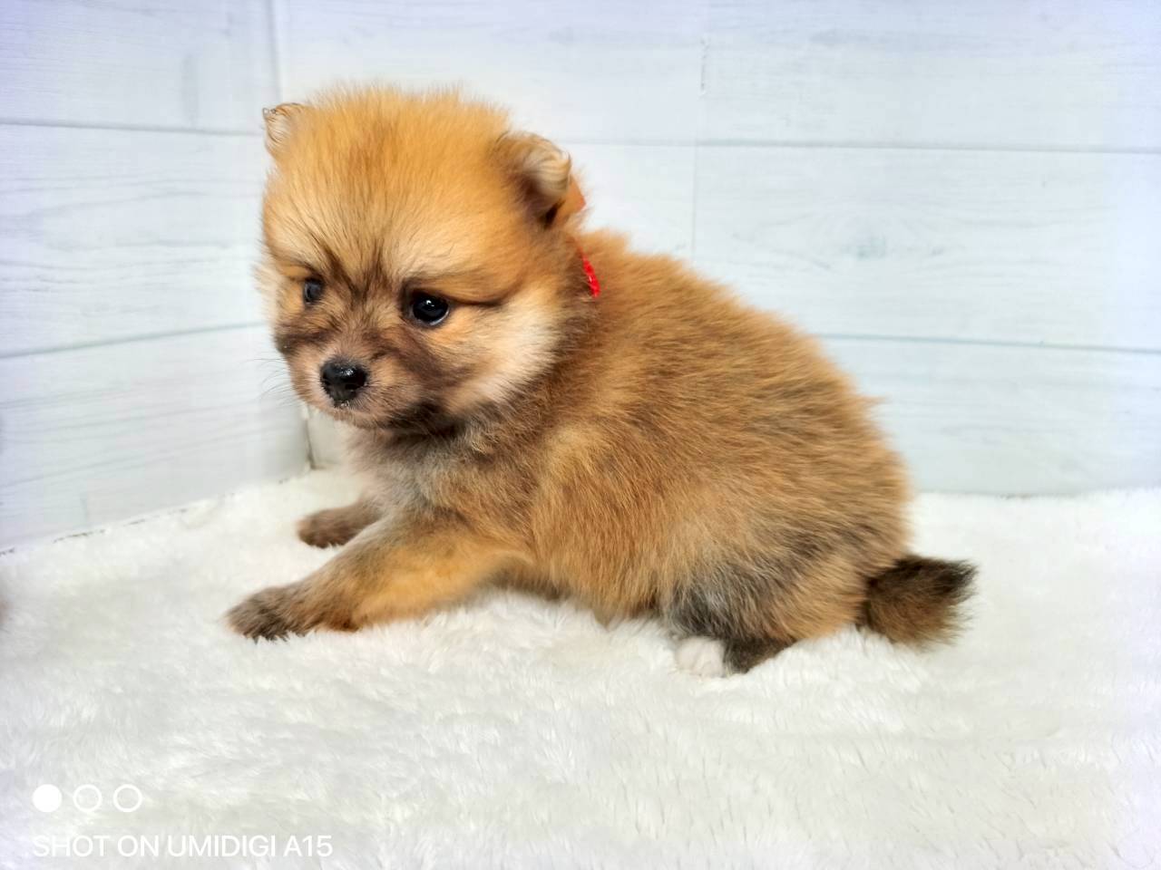 赤ちゃん写真2-2