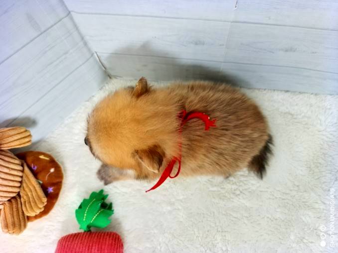 赤ちゃん写真2-3