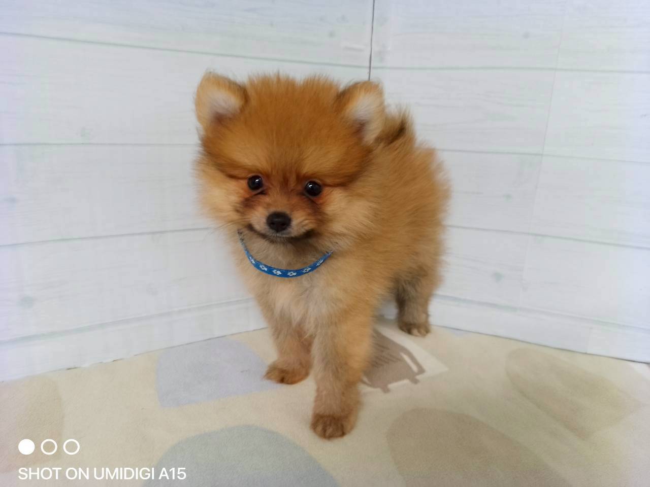赤ちゃん写真3-1
