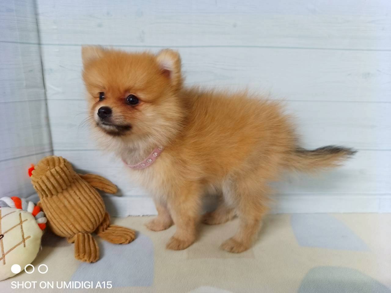 赤ちゃん写真3-2