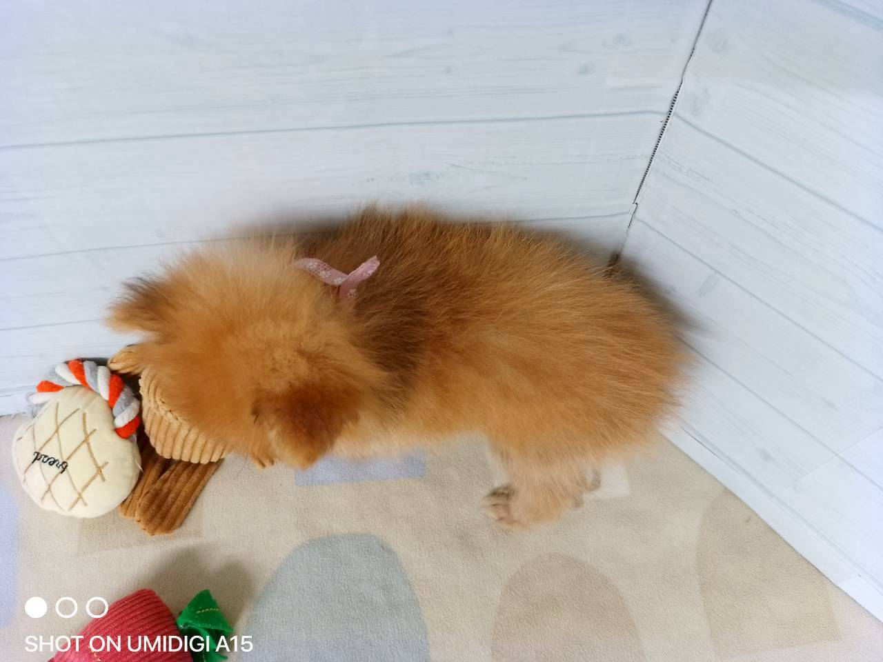 赤ちゃん写真3-3