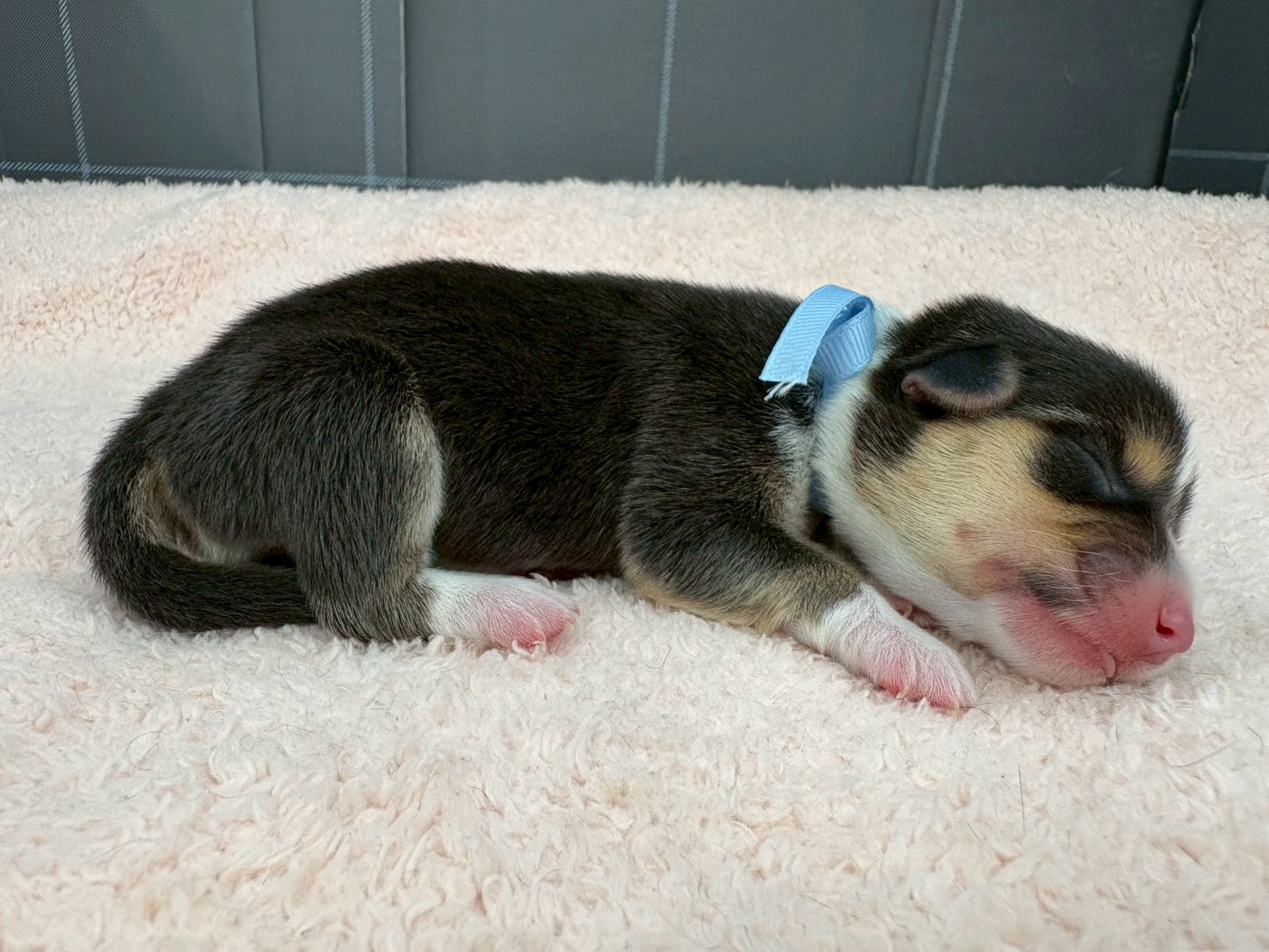 赤ちゃん写真1-2