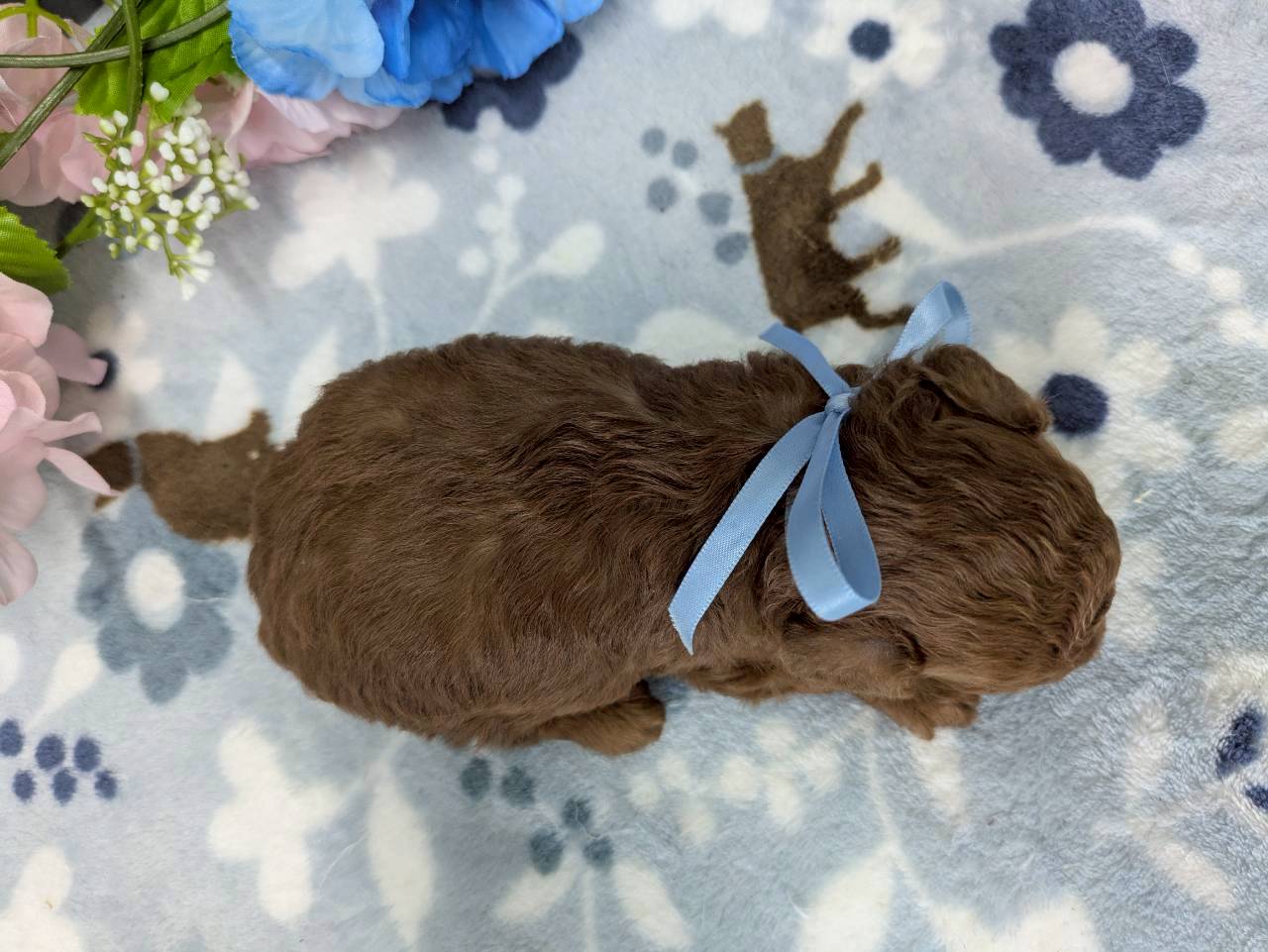 赤ちゃん写真2-3