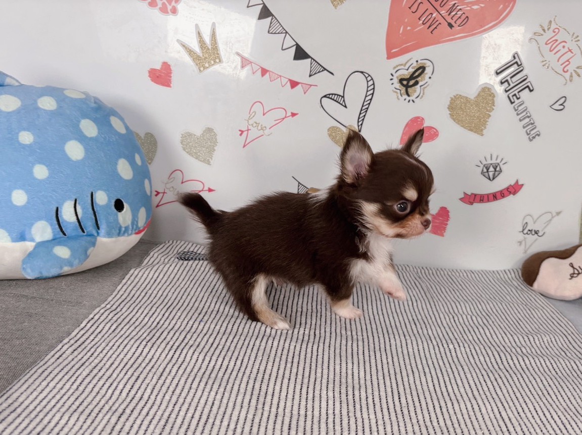 赤ちゃん写真2-2