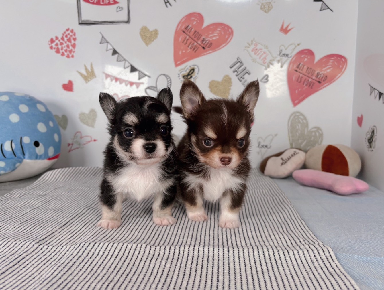 赤ちゃん写真2-3