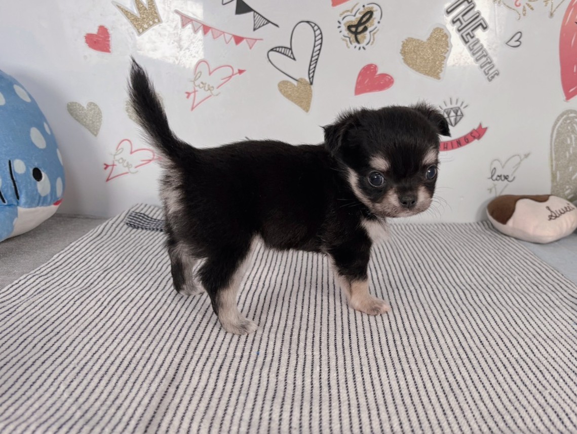 赤ちゃん写真2-2