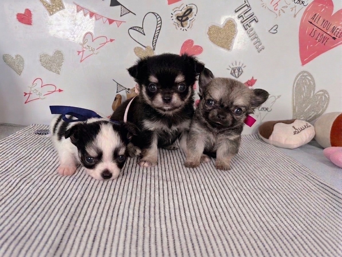 赤ちゃん写真2-3